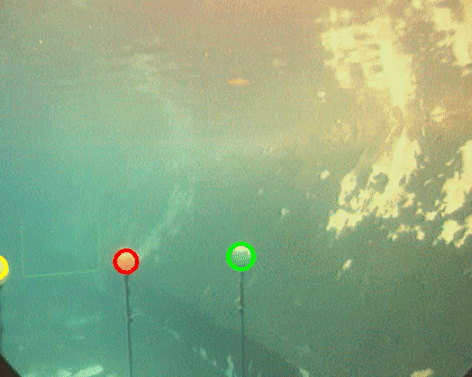 Color segmentation preview